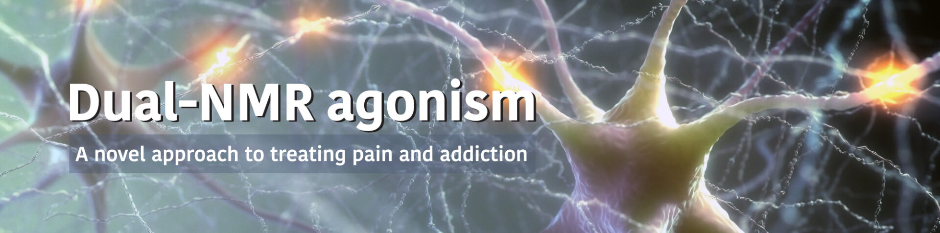 Neuron image: Dual-NMR agonism - A novel approach to treating pain and addiction.